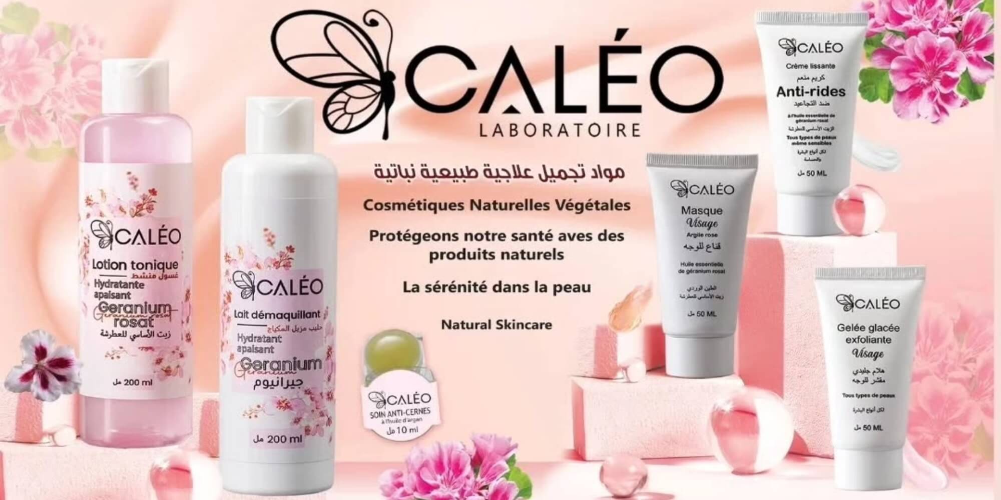 Caleo